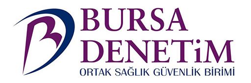 Bursa Denetim OSGB